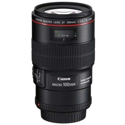 Ӫ(Canon)EF 100mm f/2.8L IS USM΢ྵͷ