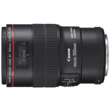 Ӫ(Canon)EF 100mm f/2.8L IS USM΢ྵͷ