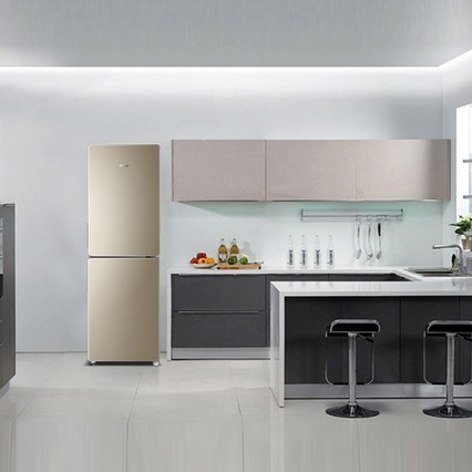 Haier/ BCD-190WDPTСͱ˫ʽ÷˪ŵ