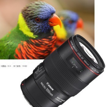EF 100mm f/2.8L IS USMȦ°΢ ΢ϸڿǻư΢100mm΢ྵͷ EF100mmf2.8 IS USM°ͷ