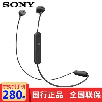 ᣨSONYWI-C300 ʽֻͨ ɫ