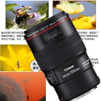 EF 100mm f/2.8L IS USMȦ°΢ ΢ϸڿǻư΢100mm΢ྵͷ EF100mmf2.8 IS USM°ͷ