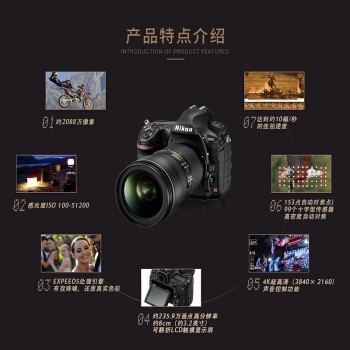 ῵ (Nikon) D500 뵥    (޾ͷ)
