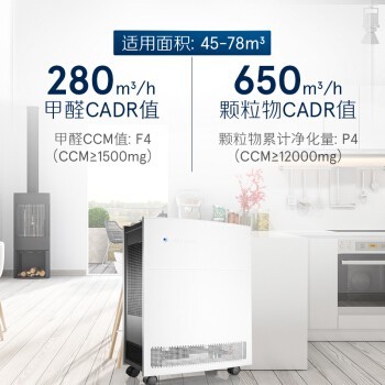 ³ŶBlueair603 ԭ ð칫 ȥȩ PM2.5 ̳