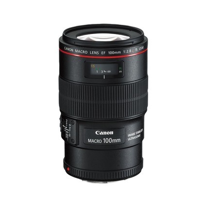 Canon/ EF 100mm f/2.8L IS USM ΢ྵͷԶ㵥ӰF2.8°΢  ǻ