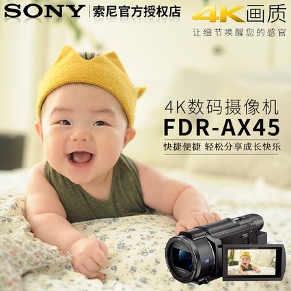 Sony/ FDR-AX45  4K 540AX45
