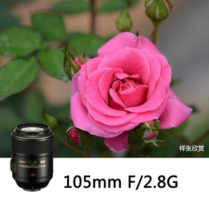 Nikon/῵AF-S VR 105mm f/2.8G IF-ED ȫ΢ྵͷ