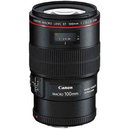 24Ϣ100 F2.8΢൥ͷEF 100mm F2.8L IS USM°΢ Ȧͷ