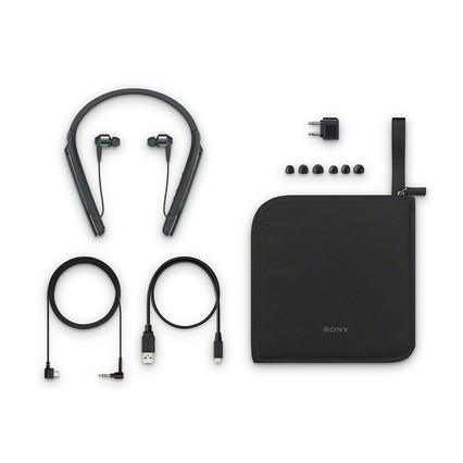Sony/ WI-1000X˫ͷҶʽ˶
