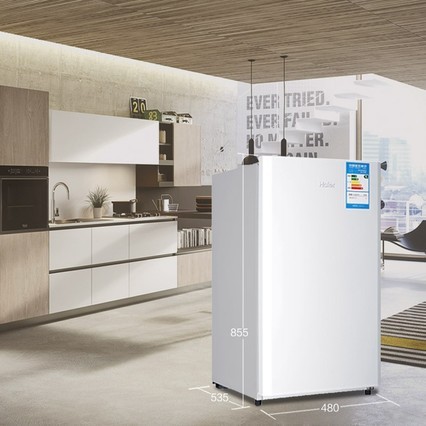 Haier/ BC-93TMPF 93żýСⷿ
