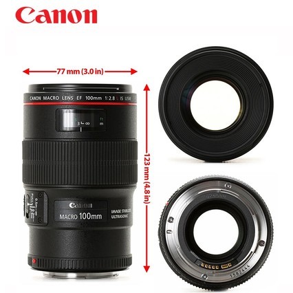 Canon/ EF 100mm f/2.8L IS USM°΢ Ȧ΢ྵͷƷ