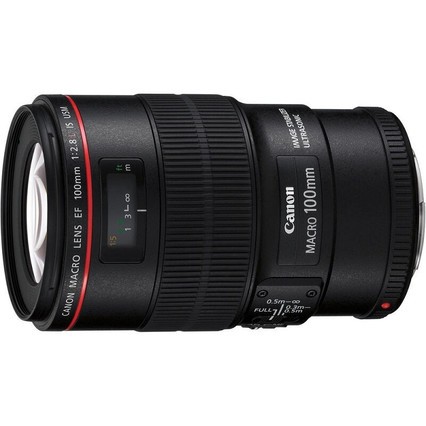 canon/EF 100mm f/2.8L IS USM°΢Ȧ΢㶨Ȧͷ
