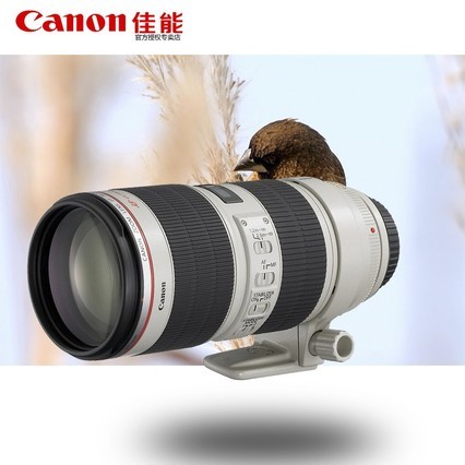Canon/ EF 70-200mm f/2.8L IS II USM Զ佹ͷ