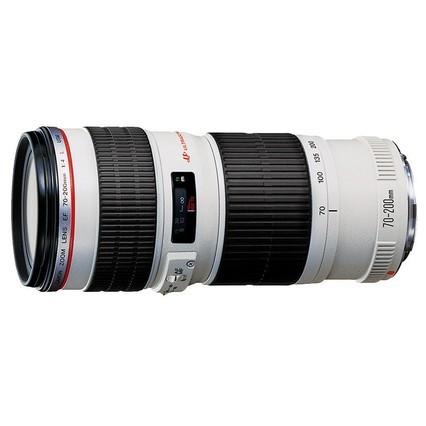[콢]Canon/ EF 70-200mm f/4L IS II USM 佹 רҵ