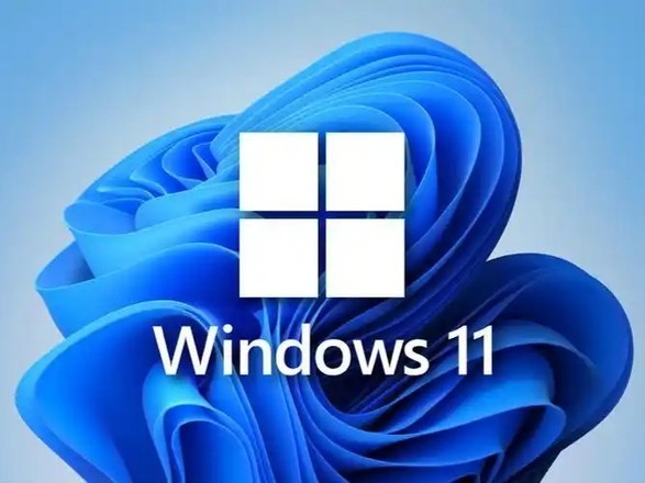 ɵWindows11Ҫעļ