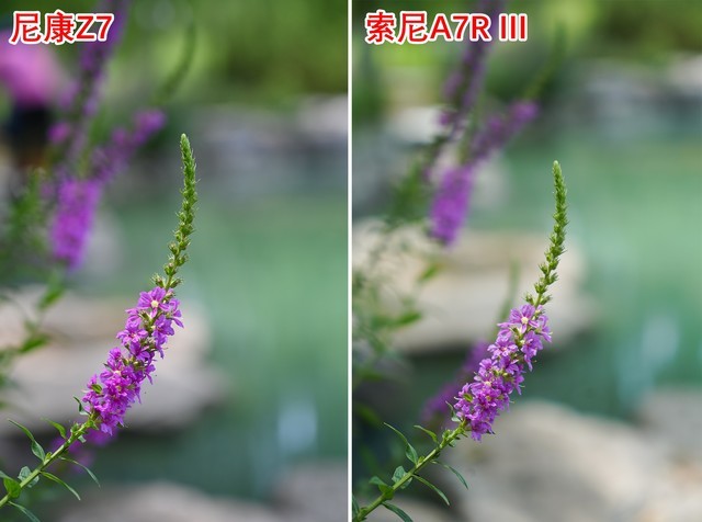 ϸھɰ ῵Z7ȫжǿ 