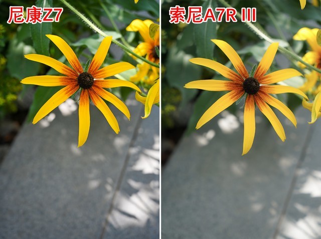 ϸھɰ ῵Z7ȫжǿ 