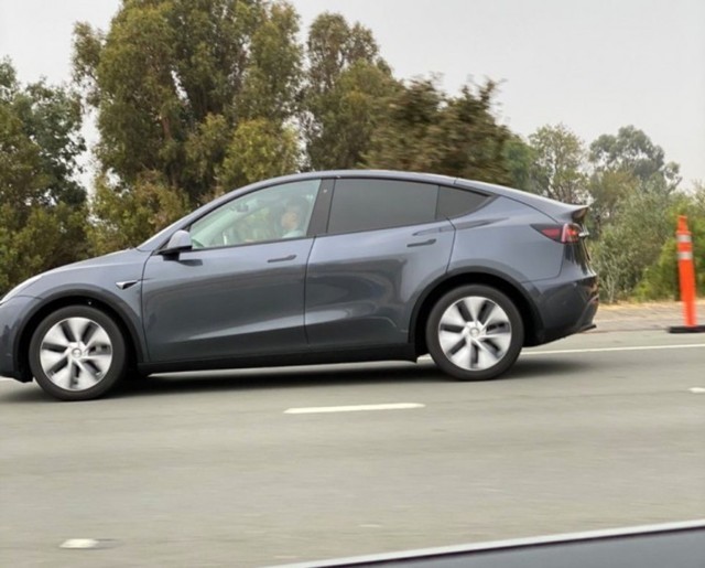 ˹SUV Model Y·ع 