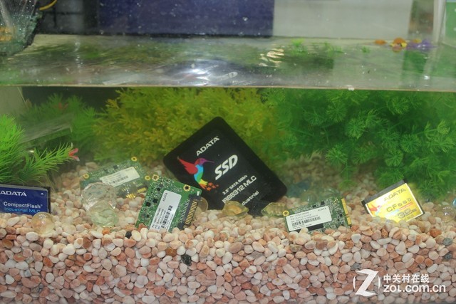上冰山下火海 威刚展示SSD苛刻宽温性能