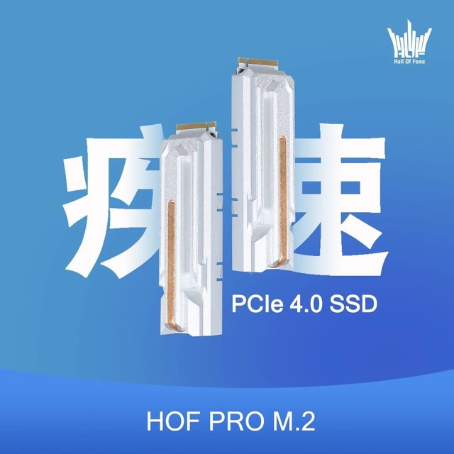 HOF PRO M.2 500G תPCIe4.0 