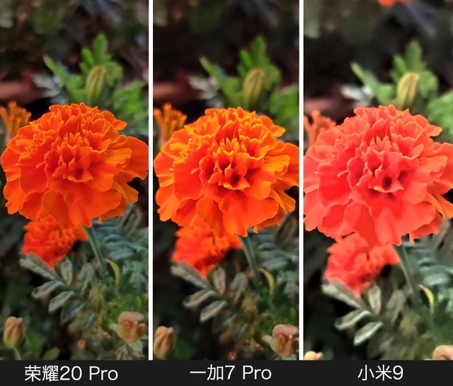 ҫ20 PRO/С9/һ7 ProҹԱ 