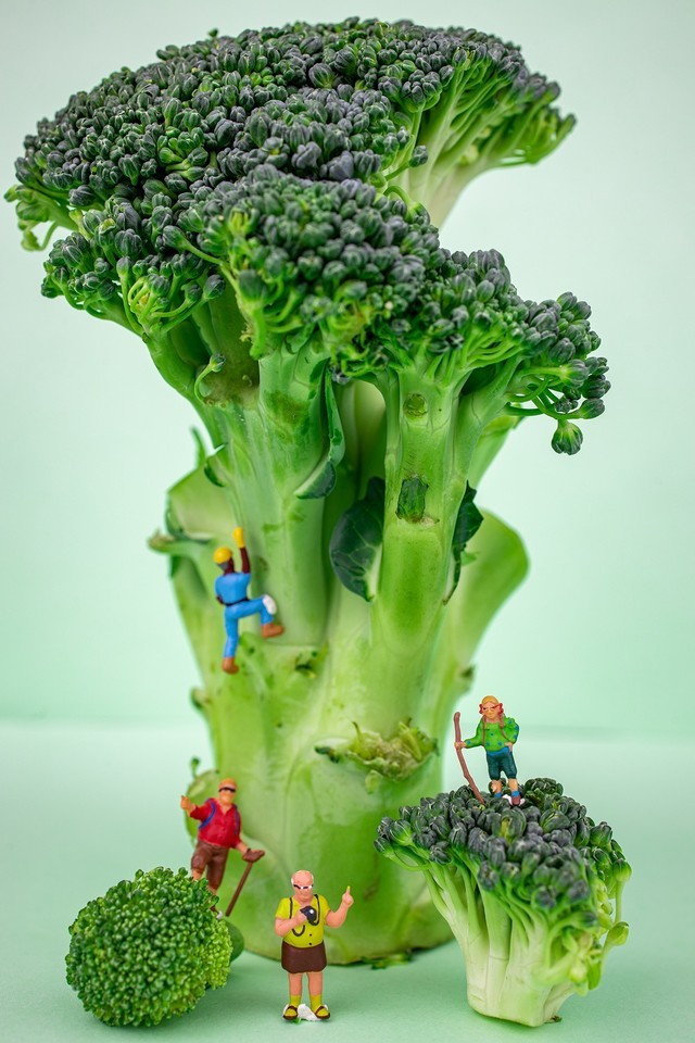 Ĵ΢Ӱôĳģ 