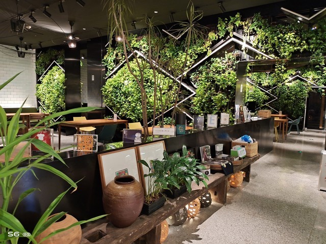 5G��������ʲô��������������vivo S6ȫ�����⣨��˲����� 