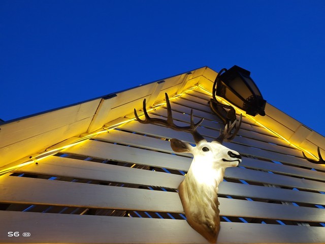 5G��������ʲô��������������vivo S6ȫ�����⣨��˲����� 