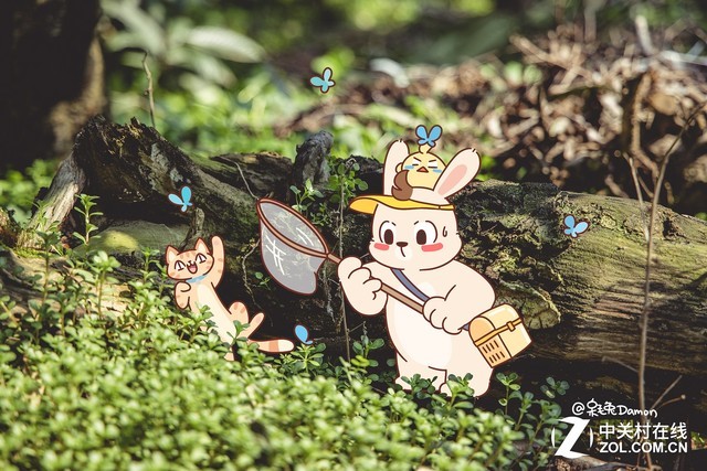 专访画师:相机是非常好的工具 就像我的画笔