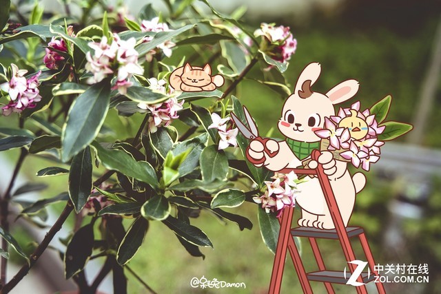 专访画师:相机是非常好的工具 就像我的画笔