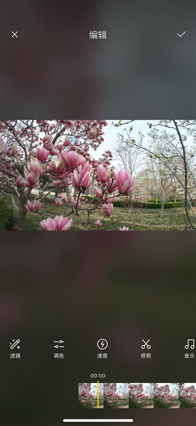 ĸ Ĵָinsta360 GO 