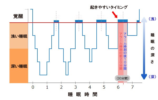 ֻapp ˯ 