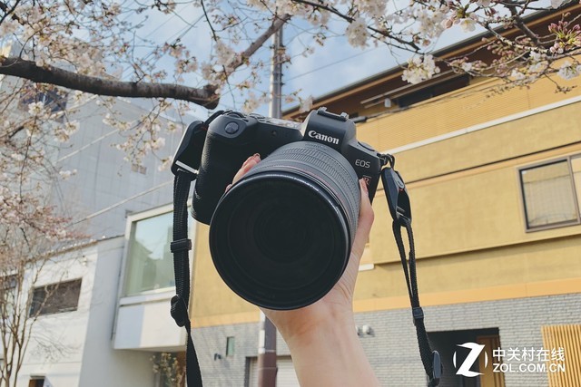 专访画师:相机是非常好的工具 就像我的画笔