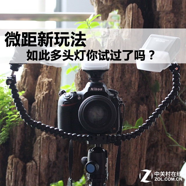 ΢淨 ˶ͷԹ 
