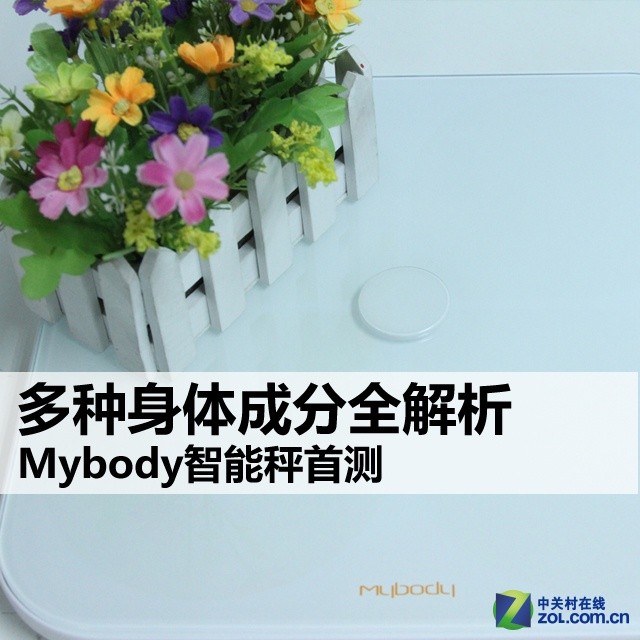 ɷȫ Mybodyܳײ ͼ 