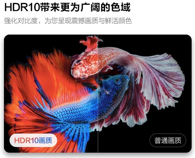 天猫魔盒4Pro上市:支持4K 60Hz输出