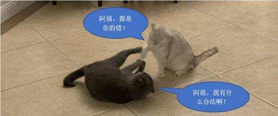 ﾺ񣬡ADAPT棡 