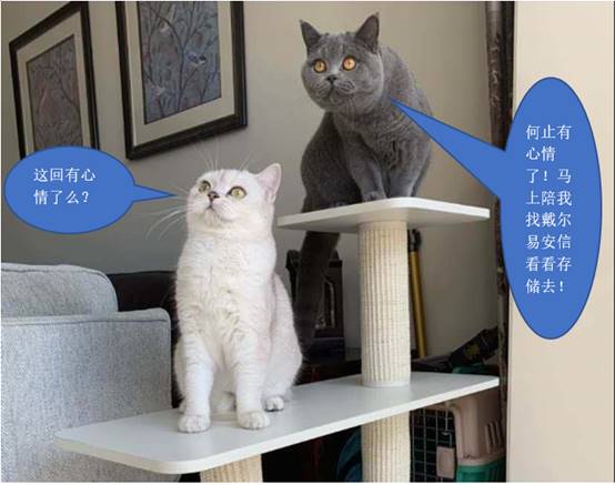 ﾺ񣬡ADAPT棡 