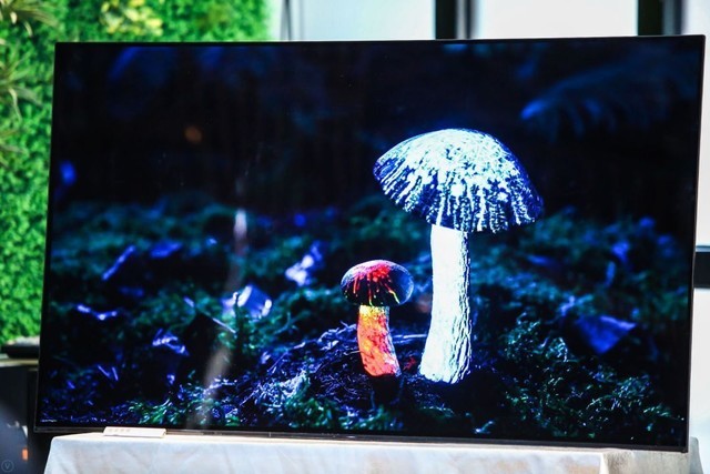 ڿƼ OLED߽δʾ 