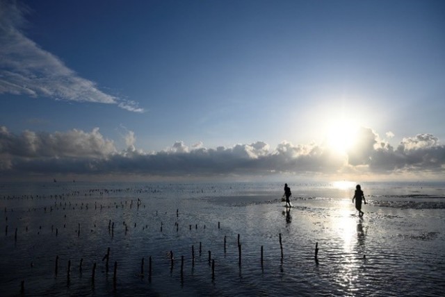 ῵Z 20mm f/1.8Z 24-200mm f/4-6.3ͷ 