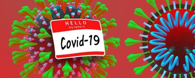 ¹ڲCOVID-19кκ壿 