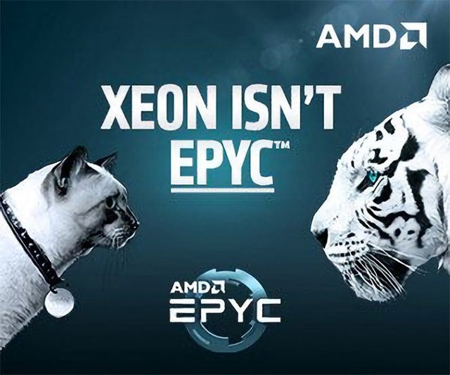  AMDܷƾ7nmȫ淭 