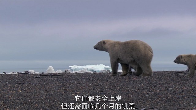 领略地球之美 不可不看的BBC自然纪录片 