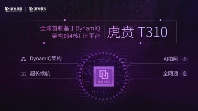 F30SƷ⣺T310999Ԫ 
