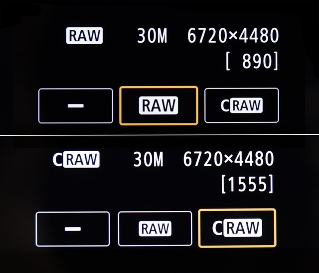 关于RAW格式照片 你不可不知的十件事 