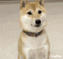 յʪʡ磿Ϊʲôûܣ 