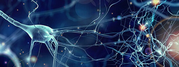 大咖专栏|拨云见月,专注于深度学习本身