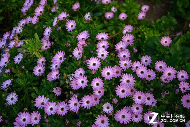 ҹ RF50mm f/1.2ͷǰ 