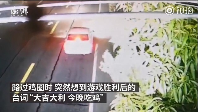 两男子沉迷吃鸡被抓！其原因原来是这样…… 