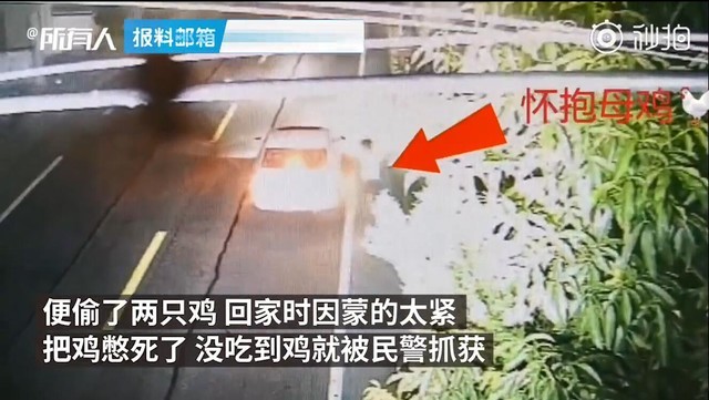 两男子沉迷吃鸡被抓！其原因原来是这样…… 